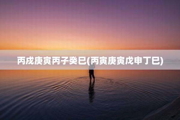 丙戌庚寅丙子癸巳(丙寅庚寅戊申丁巳)