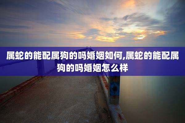 属蛇的能配属狗的吗婚姻如何,属蛇的能配属狗的吗婚姻怎么样