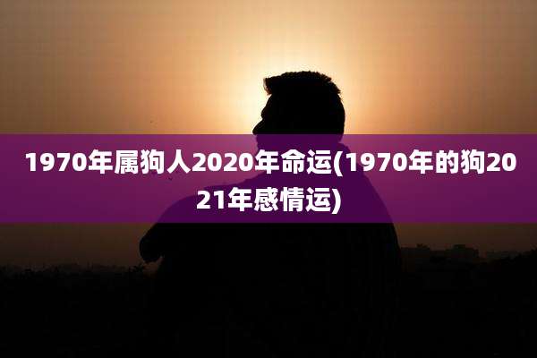 1970年属狗人2020年命运(1970年的狗2021年感情运)
