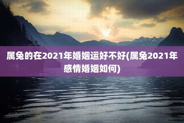 属兔的在2021年婚姻运好不好(属兔2021年感情婚姻如何)