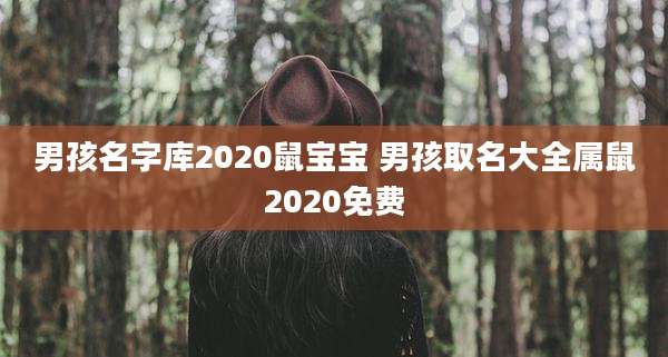 男孩名字库2020鼠宝宝 男孩取名大全属鼠2020免费