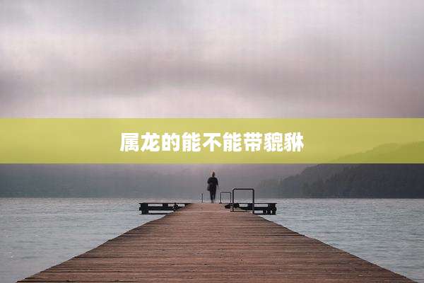 属龙的能不能带貔貅