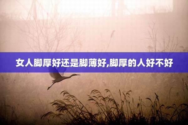 女人脚厚好还是脚薄好,脚厚的人好不好