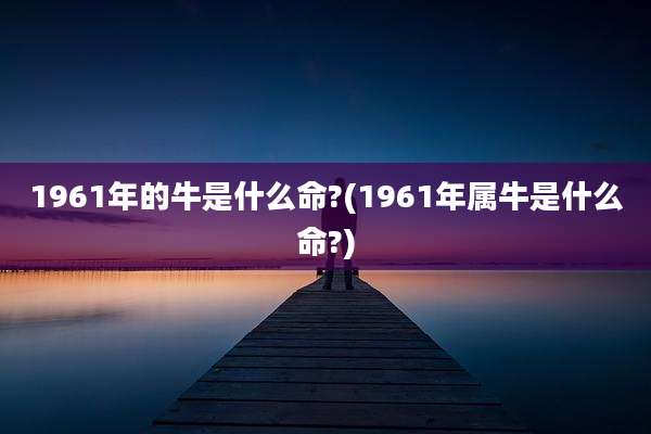 1961年的牛是什么命?(1961年属牛是什么命?)