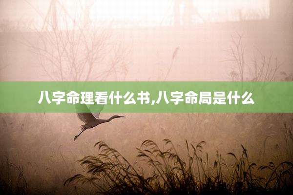 八字命理看什么书,八字命局是什么