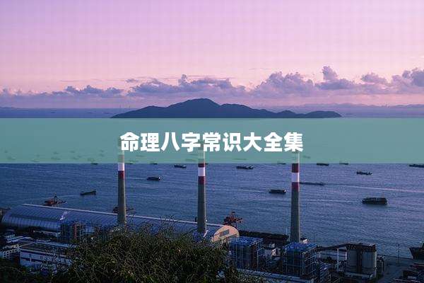 命理八字常识大全集