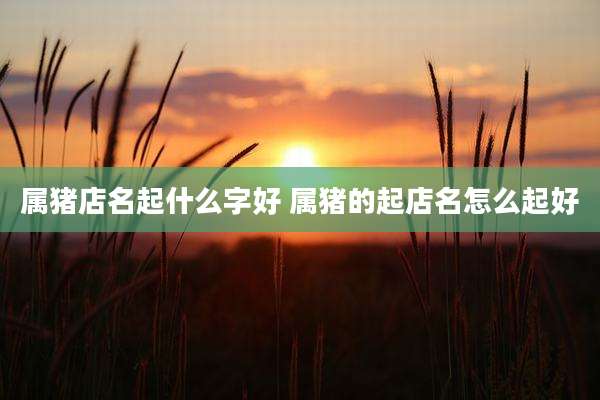 属猪店名起什么字好 属猪的起店名怎么起好