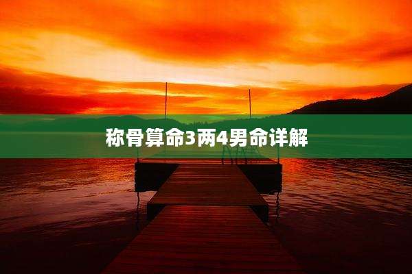 称骨算命3两4男命详解