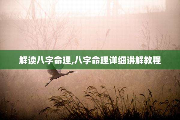 解读八字命理,八字命理详细讲解教程