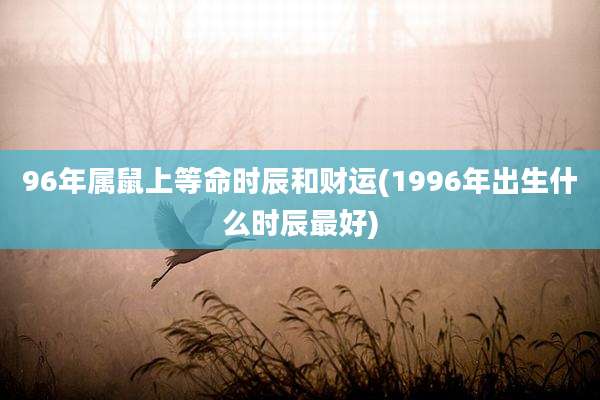96年属鼠上等命时辰和财运(1996年出生什么时辰最好)