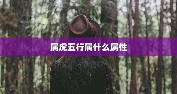 属虎五行属什么属性
