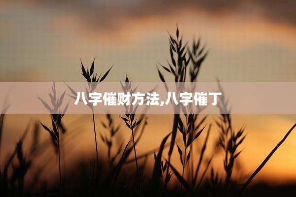 八字催财方法,八字催丁