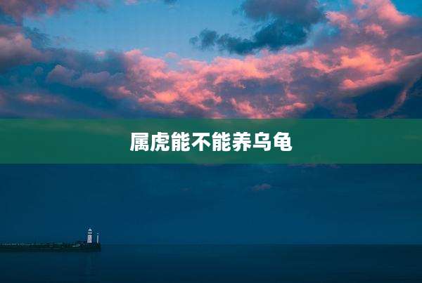 属虎能不能养乌龟