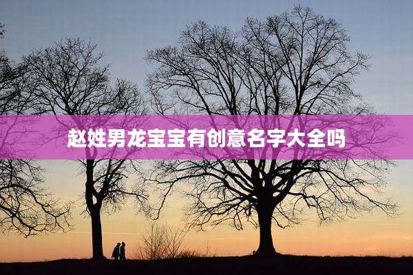 赵姓男龙宝宝有创意名字大全吗