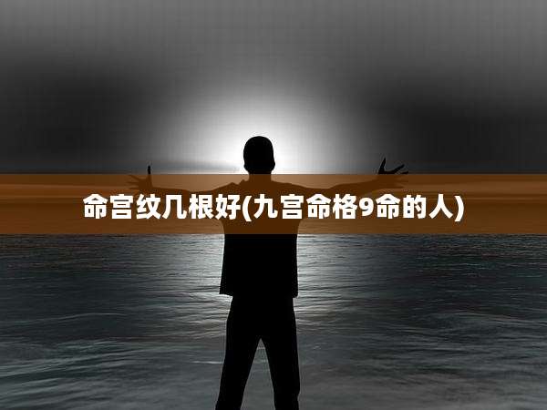 命宫纹几根好(九宫命格9命的人)