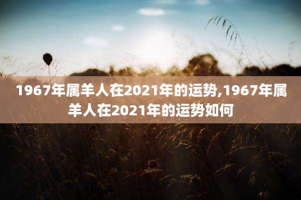 1967年属羊人在2021年的运势,1967年属羊人在2021年的运势如何