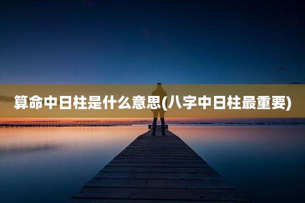算命中日柱是什么意思(八字中日柱最重要)