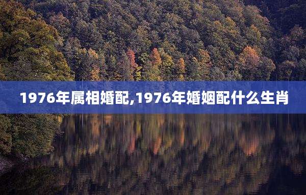 1976年属相婚配,1976年婚姻配什么生肖