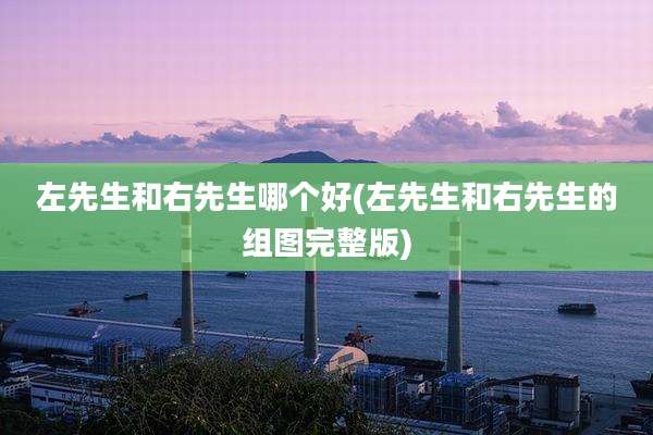 左先生和右先生哪个好(左先生和右先生的组图完整版)