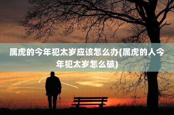 属虎的今年犯太岁应该怎么办(属虎的人今年犯太岁怎么破)