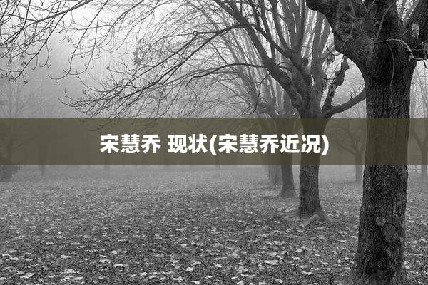 宋慧乔 现状(宋慧乔近况)