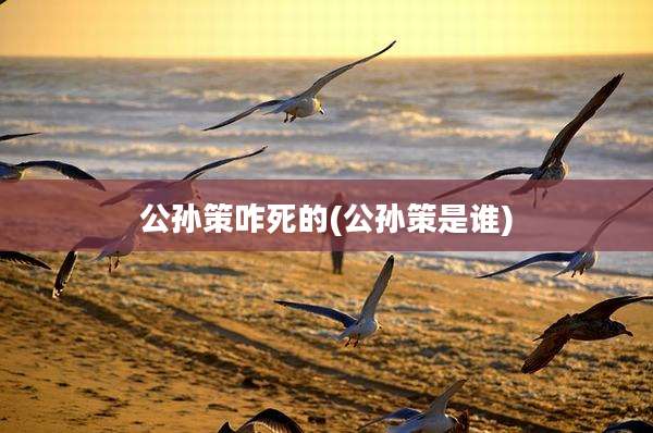 公孙策咋死的(公孙策是谁)