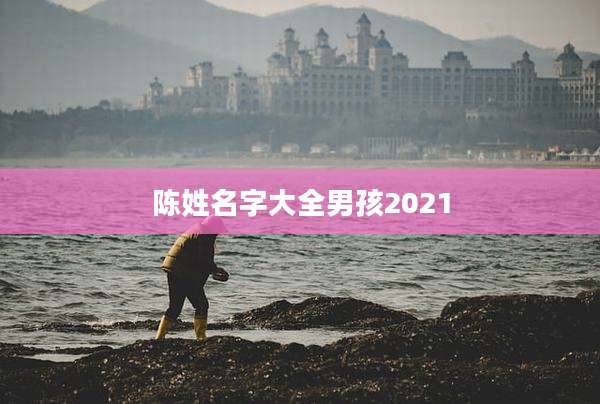 陈姓名字大全男孩2021