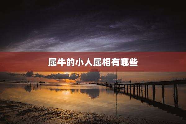 属牛的小人属相有哪些