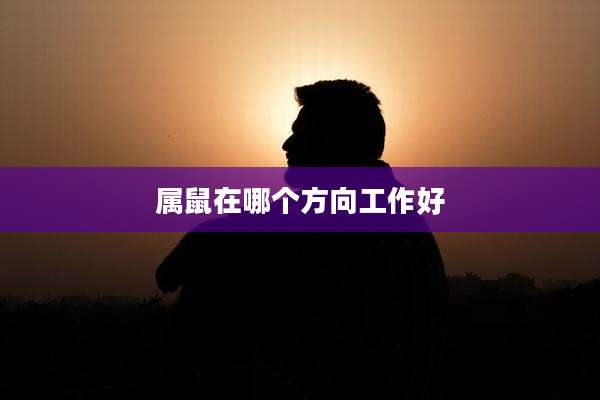 属鼠在哪个方向工作好