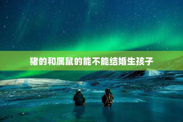 猪的和属鼠的能不能结婚生孩子