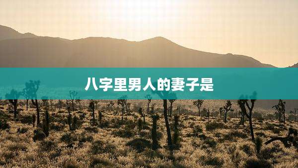 八字里男人的妻子是