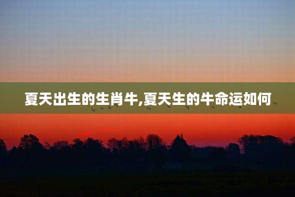 夏天出生的生肖牛,夏天生的牛命运如何