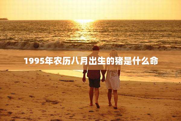 1995年农历八月出生的猪是什么命