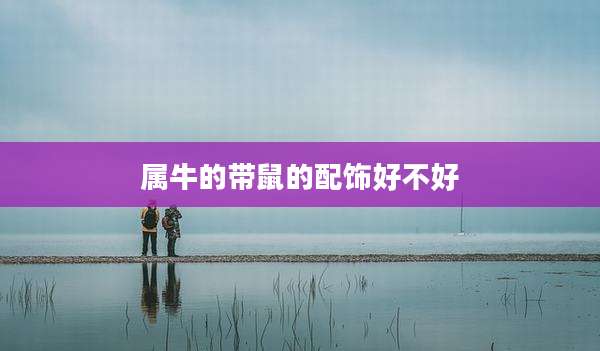 属牛的带鼠的配饰好不好