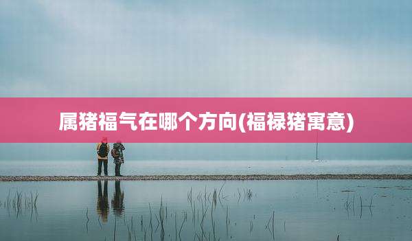 属猪福气在哪个方向(福禄猪寓意)