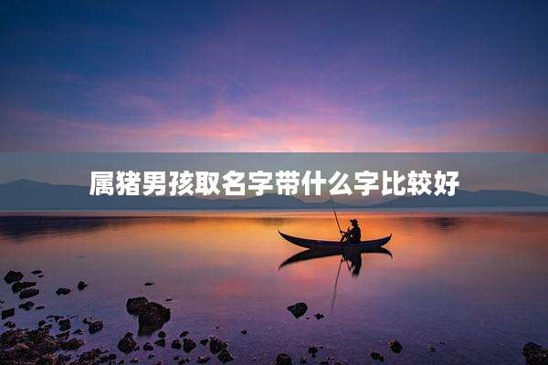 属猪男孩取名字带什么字比较好