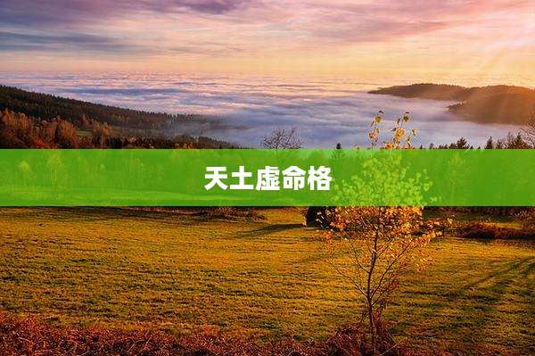 天土虚命格