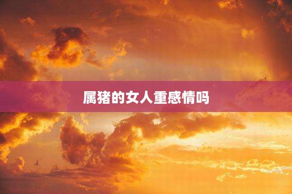 属猪的女人重感情吗