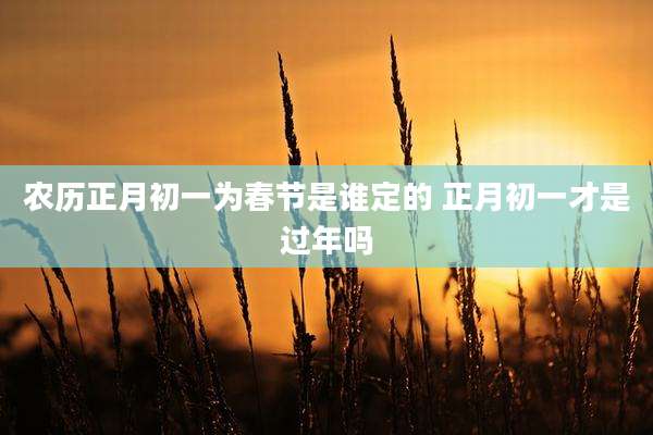 农历正月初一为春节是谁定的 正月初一才是过年吗