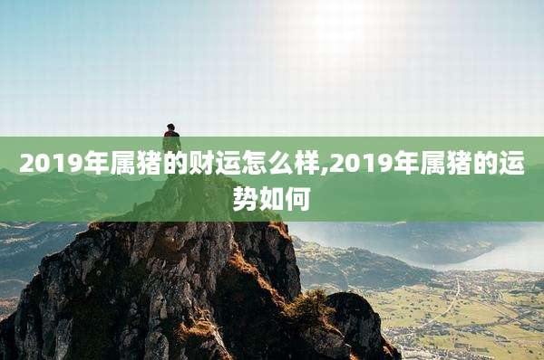 2019年属猪的财运怎么样,2019年属猪的运势如何