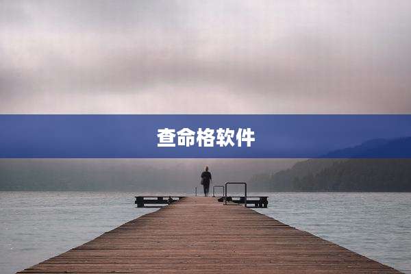 查命格软件