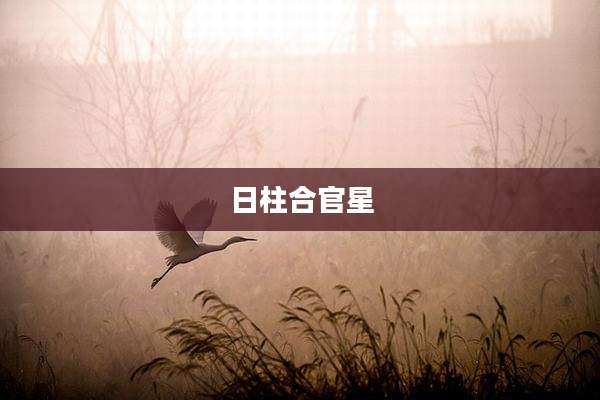 日柱合官星