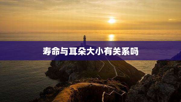 寿命与耳朵大小有关系吗