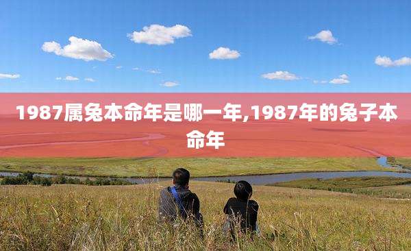 1987属兔本命年是哪一年,1987年的兔子本命年
