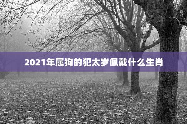 2021年属狗的犯太岁佩戴什么生肖