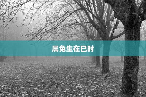 属兔生在巳时