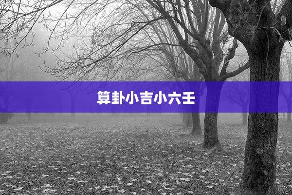 算卦小吉小六壬