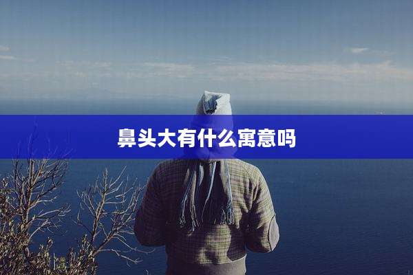 鼻头大有什么寓意吗