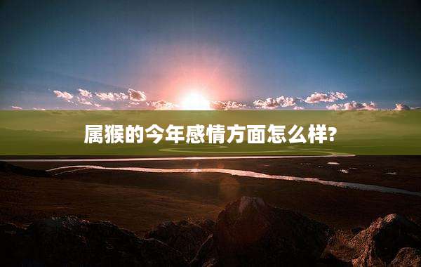 属猴的今年感情方面怎么样?