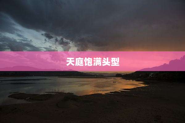 天庭饱满头型
